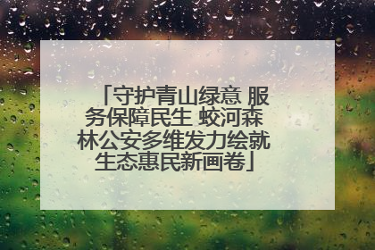 守护青山绿意 服务保障民生 蛟河森林公安多维发力绘就生态惠民新画卷