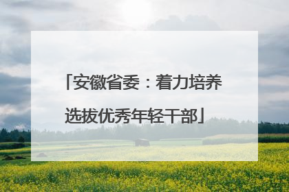 安徽省委：着力培养选拔优秀年轻干部
