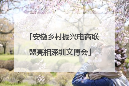 安徽乡村振兴电商联盟亮相深圳文博会