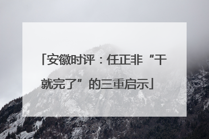 安徽时评：任正非“干就完了”的三重启示