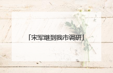宋军继到我市调研