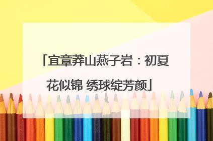 宜章莽山燕子岩：初夏花似锦 绣球绽芳颜