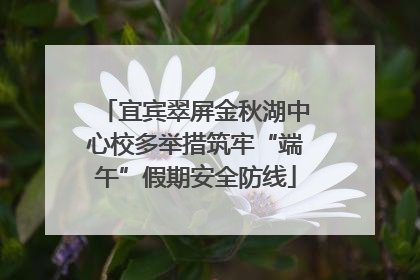 宜宾翠屏金秋湖中心校多举措筑牢“端午”假期安全防线