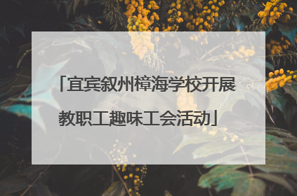 宜宾叙州樟海学校开展教职工趣味工会活动