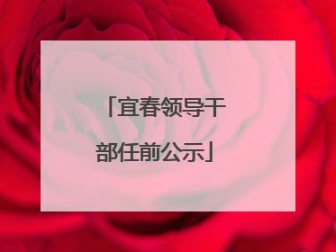 宜春领导干部任前公示