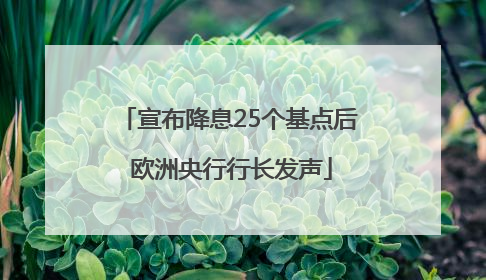 宣布降息25个基点后 欧洲央行行长发声