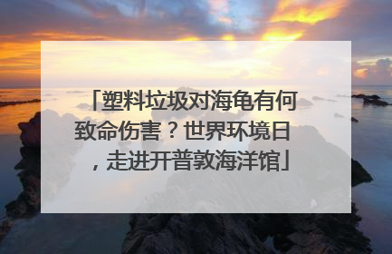 塑料垃圾对海龟有何致命伤害？世界环境日，走进开普敦海洋馆