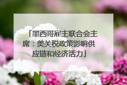 墨西哥雇主联合会主席：美关税政策影响供应链和经济活力