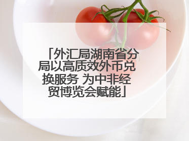 外汇局湖南省分局以高质效外币兑换服务 为中非经贸博览会赋能