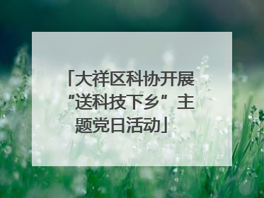 大祥区科协开展“送科技下乡”主题党日活动