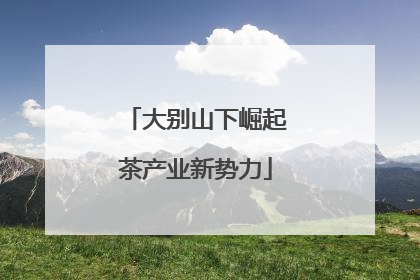 大别山下崛起茶产业新势力