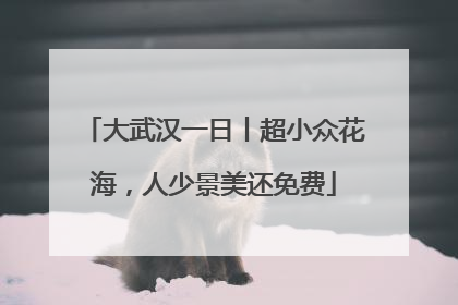 大武汉一日丨超小众花海，人少景美还免费