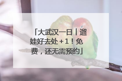 大武汉一日︱遛娃好去处＋1！免费，还无需预约