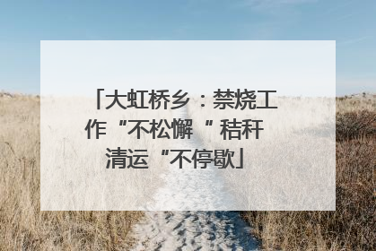 大虹桥乡：禁烧工作“不松懈“ 秸秆清运“不停歇