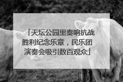 天坛公园里奏响抗战胜利纪念乐章，民乐团演奏会吸引数百观众