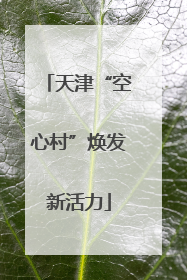 天津“空心村”焕发新活力