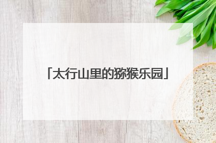 太行山里的猕猴乐园