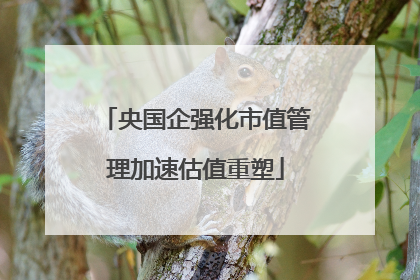 央国企强化市值管理加速估值重塑