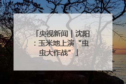 央视新闻｜沈阳：玉米地上演“虫虫大作战”