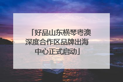 好品山东横琴粤澳深度合作区品牌出海中心正式启动