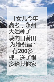 女儿今年高考，永州大姐种了一块向日葵田为她祝福：有200多棵，送了很多给其他家长