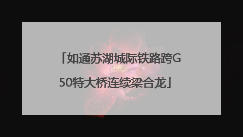 如通苏湖城际铁路跨G50特大桥连续梁合龙