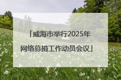 威海市举行2025年网络募捐工作动员会议