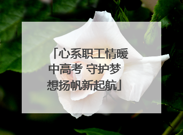 心系职工情暖中高考 守护梦想扬帆新起航