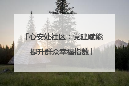 心安处社区：党建赋能 提升群众幸福指数
