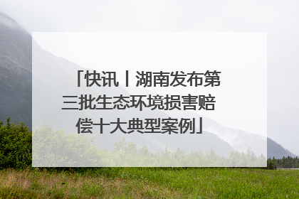快讯丨湖南发布第三批生态环境损害赔偿十大典型案例