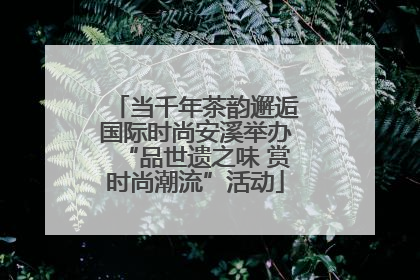当千年茶韵邂逅国际时尚安溪举办“品世遗之味 赏时尚潮流”活动
