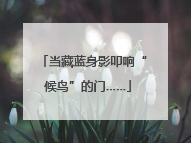 当藏蓝身影叩响“候鸟”的门……