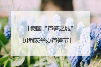 德国“芦笋之城”贝利茨举办芦笋节