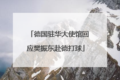 德国驻华大使馆回应樊振东赴德打球