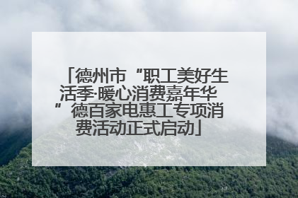 德州市“职工美好生活季·暖心消费嘉年华”德百家电惠工专项消费活动正式启动