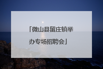 微山县留庄镇举办专场招聘会