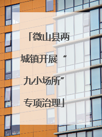 微山县两城镇开展“九小场所”专项治理
