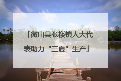 微山县张楼镇人大代表助力“三夏”生产