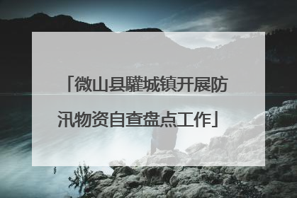 微山县驩城镇开展防汛物资自查盘点工作