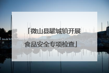 微山县驩城镇开展食品安全专项检查