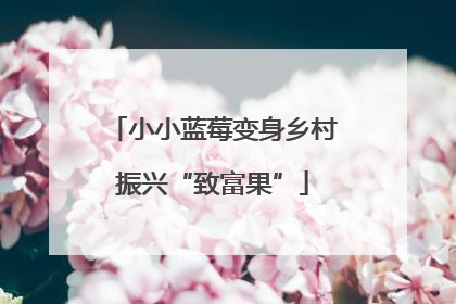 小小蓝莓变身乡村振兴“致富果”