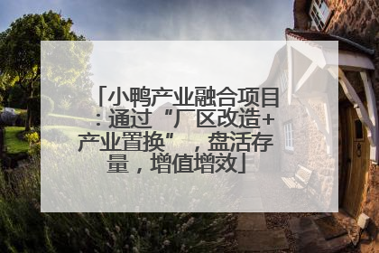 小鸭产业融合项目：通过“厂区改造+产业置换”，盘活存量，增值增效