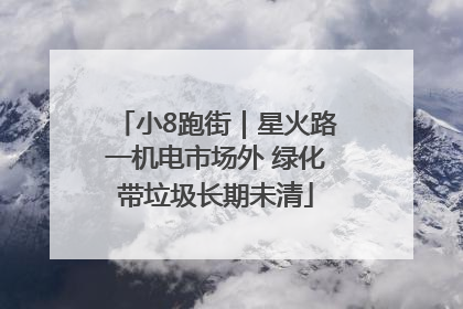 小8跑街｜星火路一机电市场外 绿化带垃圾长期未清