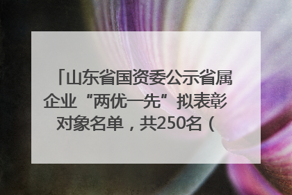 山东省国资委公示省属企业“两优一先”拟表彰对象名单，共250名（个）党员和党组织
