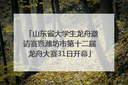 山东省大学生龙舟邀请赛暨潍坊市第十二届龙舟大赛31日开幕
