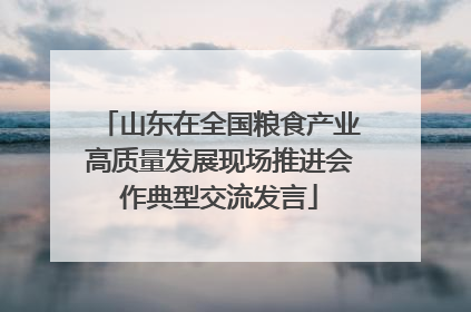 山东在全国粮食产业高质量发展现场推进会作典型交流发言