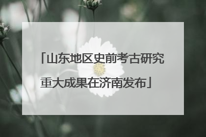 山东地区史前考古研究重大成果在济南发布