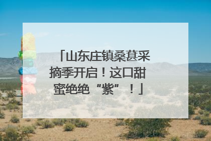 山东庄镇桑葚采摘季开启！这口甜蜜绝绝“紫”！