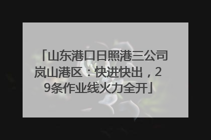 山东港口日照港三公司岚山港区：快进快出，29条作业线火力全开