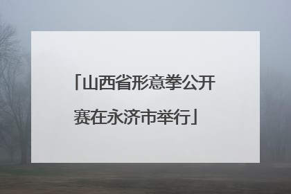 山西省形意拳公开赛在永济市举行